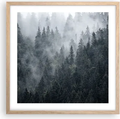 Produktbild von Gerahmtes Poster - Rahmen in heller Eiche - Wald Baum Natur - 50x50 cm - Wand Bild - Wanddeko - Wandbilder - Kunstposter - Wandposter - Bilderrahmen - Bilder - Kunstdruck - Wandbild - P2NAC50x50-4074