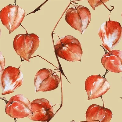 Produktbild von 20 Servietten Painted Physalis - Physalis gemalt 33x33cm