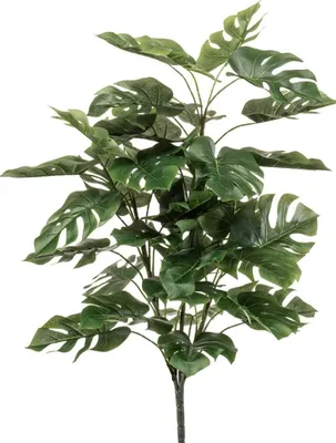 Produktbild von artplants.de Künstlicher Philodendron HINAGIKU auf Steckstab, 70cm - Kunstpflanze Monstera deliciosa