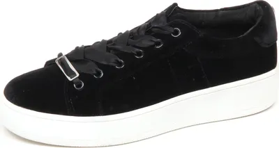 Produktbild von E7700 sneaker donna velvet STEVE MADDEN BERTIE scarpe velluto black shoe woman