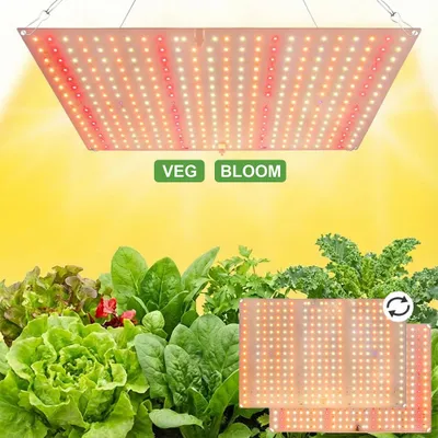 A grow light is shown suspended above a variety of leafy green plants.