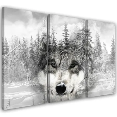 Produktbild von Triptychon auf leinwand tiere - grau 90x60 cm Feeby grau wandbild bereit zum aufhängen