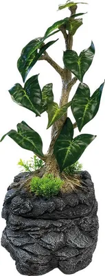 Produktbild von Repto Water Dripping Tree