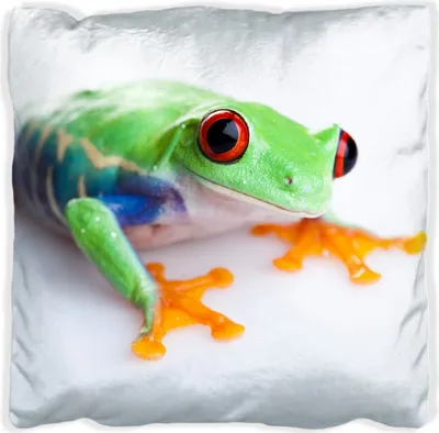Produktbild von Wallario Premium Kissen, weiche Oberfläche, mit Motiv Lustiger Frosch in grün und orange, Größe: 30 x 30 cm, mit weißer Rückseite