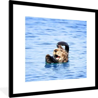 Produktbild von MuchoWow® Gerahmtes Poster Seeotter - Lustig - Wasser - Kinder - Jungen - Mädchen - Kind 40x40 cm - Poster mit Schwarzem Bilderrahmen Wandposter Rahmen Foto Bilder - Poster - Plakat im Rahmen