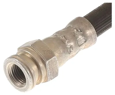 Produktbild von Bremsschlauch 450 mm F10x1 & M10x1 TRISCAN IAM-Expertise für u.a. ALFA ROMEO 166