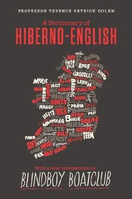 Zdjęcie produktu dla A Dictionary of Hiberno English