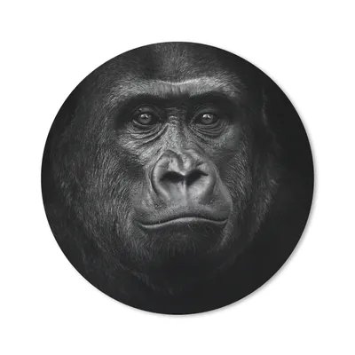 Produktbild von MuchoWow® Mauspad Mousepad Gorilla - Schwarz - Weiß - Tiere - Porträt 50x50 cm - Mousepads - Maus Mat - Pad - Mausunterlage - Vinyl