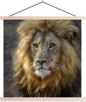 Produktbild von MuchoWow® Textilposter Löwe - Porträt - Wild 120x120 cm mit holzfarbenen Rahmen - Textil-Poster