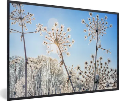 Produktbild von MuchoWow® Gerahmtes Poster Pflanzen - Schnee - Stilleben 30x20 cm - Poster mit Schwarzem Bilderrahmen Wandposter Rahmen Foto Bilder - Kunstdruck - Bild-Poster