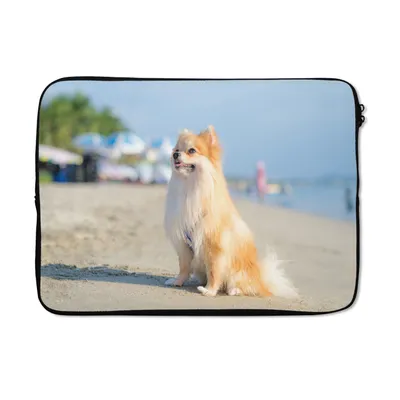 Produktbild von MuchoWow® Laptop Hülle 13 Zoll Pomeranian am Strand Laptoptasche - Laptophülle - Sleeve - Rundumschutz