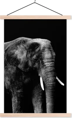 Produktbild von MuchoWow® Textilposter Elefant auf schwarzem Hintergrund - schwarz und weiß 120x180 cm mit holzfarbenen Rahmen - Textil-Plakat