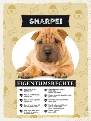 Immagine prodotto di vianmo Insegna in legno 40x30 cm Sharpei Eigentumsrechte