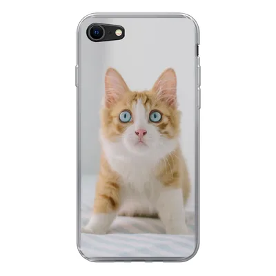 Produktbild von MuchoWow® Handyhülle Schutzhülle Hülle für iPhone 8 Kätzchen - Blau - Orange - Mädchen - Jungen - Kind Silikon Softcase Handy Hülle - Schutzhaube