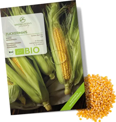 Produktbild von Zuckermais Samen (Golden Bantam, 30 Korn) - Mais Saatgut aus biologischem Anbau ideal für die Anzucht im Garten, Balkon oder Terrasse