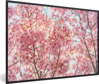 Produktbild von MuchoWow® MuchoWow® Gerahmtes Poster Kirschblüte in Japan 30x20 cm - Poster mit zchwarzem Bilderrahmen - Kunstdruck - Bild-Poster