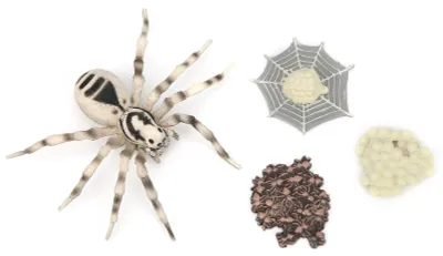 Produktbild von Hochsimulations-Insektenmodell-Spielzeug, pädagogisches Kinder-Kind-Geschenk, Insekten