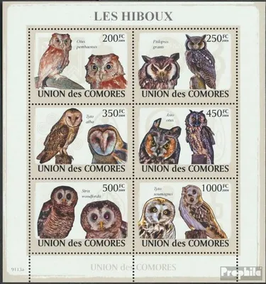 Produktbild von Briefmarken Komoren 2009 Mi 2191-2196 Kleinbogen (kompl. Ausg.) postfrisch Eulen