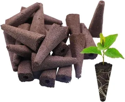 Produktbild von 30 Stück Wachstumsschwämme für Hydrokultur Innenraum