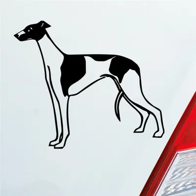 Produktbild von Auto Aufkleber Windhund Hund Dog Animal Tier 12x10 cm Schwarz Matt Sticker Heckscheibenaufkleber