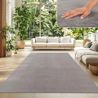 Produktbild von TT Home Wohnzimmer Teppich Kurzflor Anti-Rutsch Rückseite Unifarben Modern Waschbar Größe 240x340 cm