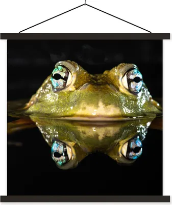 Produktbild von MuchoWow® Textilposter Frosch - Augen - Porträt 90x90 cm mit schwarzem Rahmen - Magnetisches
