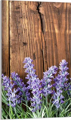 Produktbild von Glasschneidebrett 30x52 Lavendel