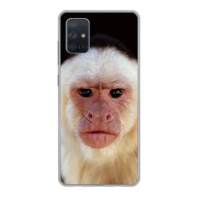 Produktbild von MuchoWow® Handyhülle Schutzhülle Hülle für Samsung Galaxy A71 Affe - Fell - Schwarz Silikon Softcase Handy Hülle - Kartenbesitzer
