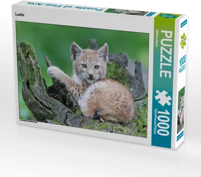 Produktbild von CALVENDO Puzzle Luchs | 1000 Teile Lege-Größe 64x48cm Foto-Puzzle für glückliche Stunden