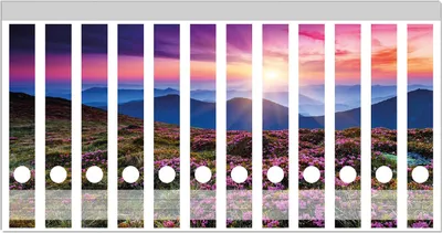 Produktbild von Wallario Ordnerrücken Sticker, selbstklebend für schmale Ordner, 12 Stück, Motiv Blumenbedeckte Wiese bei Sonnenuntergang