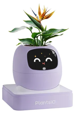 Immagine prodotto di Vaso da fiori intelligente con controllo tramite app e sistema di irrigazione automatico, colore viola