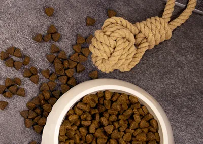Produktbild von deuka dog Naturkost 15 kg