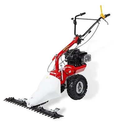 Produktbild von Eurosystems M250 Balkenmäher, Schneidwerk 107 cm, Briggs & Stratton Series 1000