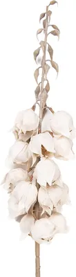 Immagine prodotto di Fiore artificiale Clayre & Eef 100 cm plastica bianca