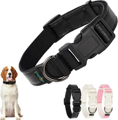 Productafbeelding van Hondenhalsband 35-50 cm, Polyurethanen katoen, verstelbaar, voor wandeling