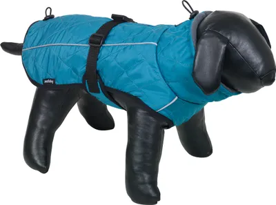 Produktbild von Nobby Hundemantel Yaka petrol, Rückenlänge: 80 cm