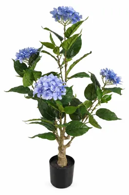 Immagine prodotto di Ortensia artificiale in vaso, altezza 80 cm