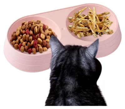 Produktbild von Hundefutterstation - Erhöhte doppelte Näpfe für Hunde und Katzen