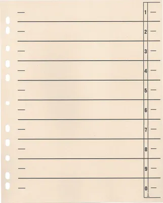 Produktbild von Trennblätter 24x30cm 190g 11fach gelocht chamois 100 Stück Packung mit 10 Stück