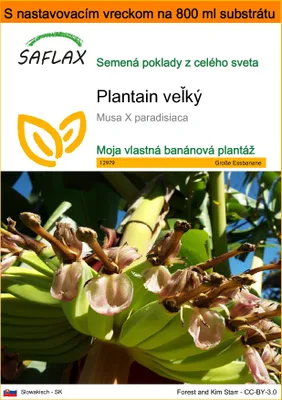 Obrázok produktu pre SAFLAX Garden in the bag - Plantain veľký - Musa X paradisiaca - 10 Semená - S pestovateľským substrátom v praktickom samostaviteľnom vrecku