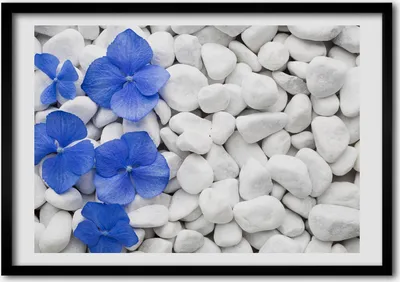 Produktbild von Bild - Bilder - Bilderrahmen - 70 cm x 50 cm - MDF-Rahmen, Wandkunst Hortensie