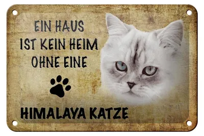 Produktbild von Blechschild Spruch 18x12cm Himalaya Katze ohne kein Heim