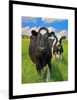 Produktbild von MuchoWow® Gerahmtes Poster Kuh - Gras - Natur - Tiere 60x80 cm - Poster mit Schwarzem Bilderrahmen Wandposter Rahmen Foto Bilder - Wohnzimmer - Dekorationen - Prämie