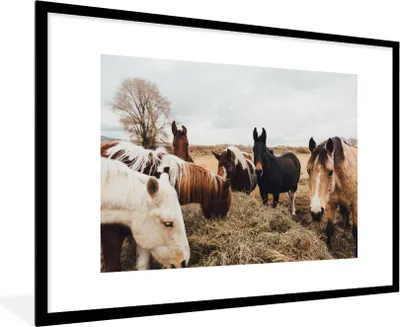 Produktbild von MuchoWow® Gerahmtes Poster Tiere - Pferd 90x60 cm - Poster mit Schwarzem Bilderrahmen Wandposter Rahmen Foto Bilder - Wanddekoration - Fotos