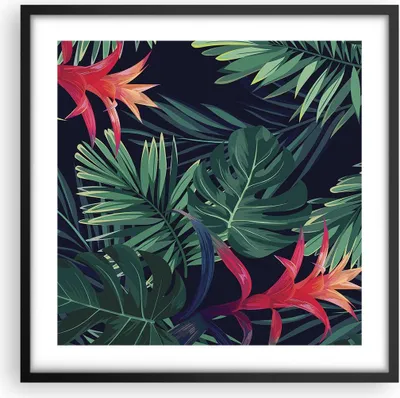 Produktbild von Gerahmtes Poster - Schwarzer Rahmen - Exotisch Blumen Blätter - 50x50 cm - Wand Bild - Wanddeko - Wandbilder - Wandposter - Bilderrahmen - Bilder - Kunstdruck - Wandbild - P2BAC50x50-4308