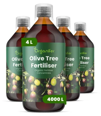 Zdjęcie produktu dla Drzewo Oliwne Nawóz Płynny 4x1 L – 2-1-8 NPK – Do Olivovníky – Do Doniczkowe i Ogrodowy Kultúry – Organifer