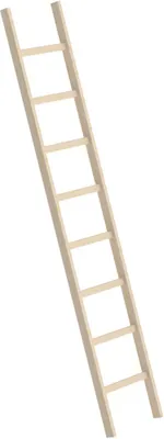 Produktbild von MUNK Holz-Anlegeleiter 8 Sprossen