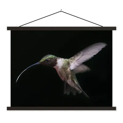 Produktbild von MuchoWow® Textilposter Kolibri - Vogel - Federn 150x113 cm mit schwarzem Rahmen - Wohnzimmer