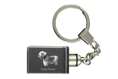 Obrázek produktu pro Český teriér - Křišťálová klíčenka s fotografií psa, svítící klíčenka, jedinečný dárek od značky Art-Dog