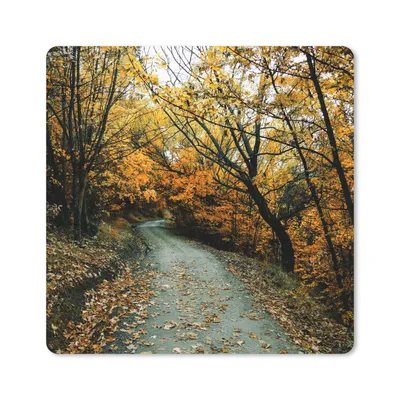 Produktbild von MuchoWow® Mauspad Mousepad Blätter - Herbst - Wald 20x20 cm - Mousepads - Maus Mat - Pad - Mausunterlage - Desk Mat - Bureauartikeln